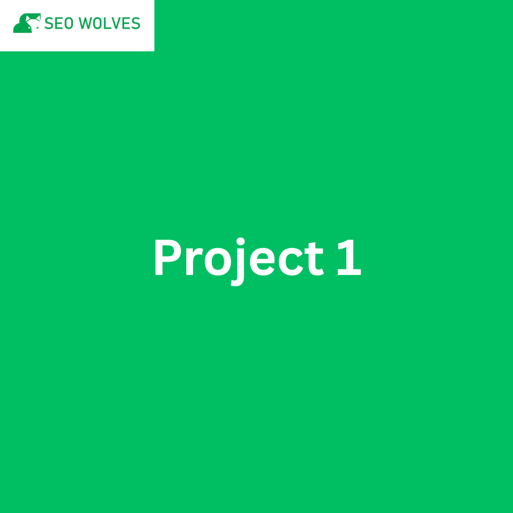 Project 1
